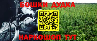спиды Краснознаменск