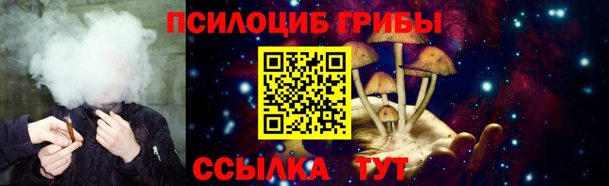 Галлюциногенные грибы Psilocybe  Вход с VPN  Кизилюрт 